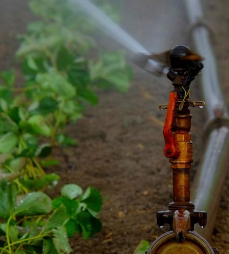 পরিচিতি image 01